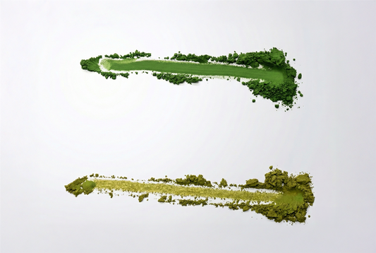 Deux poudres vertes comparées — matcha contre thé vert classique