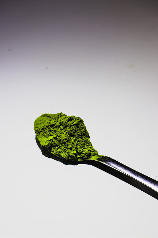 Cuillère de matcha dosée avec précision — le bon grammage par tasse