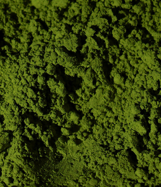 Poudre de matcha en gros plan — antioxydants bénéfiques pour la peau