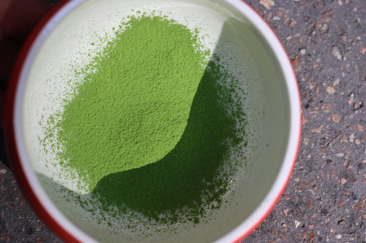 Poudre de matcha vert vif, gros plan