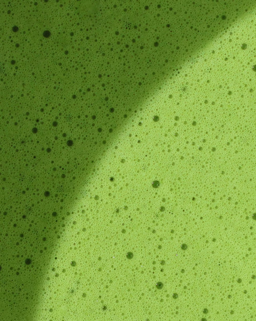 Texture de la mousse d'un matcha cérémonial Supramatcha